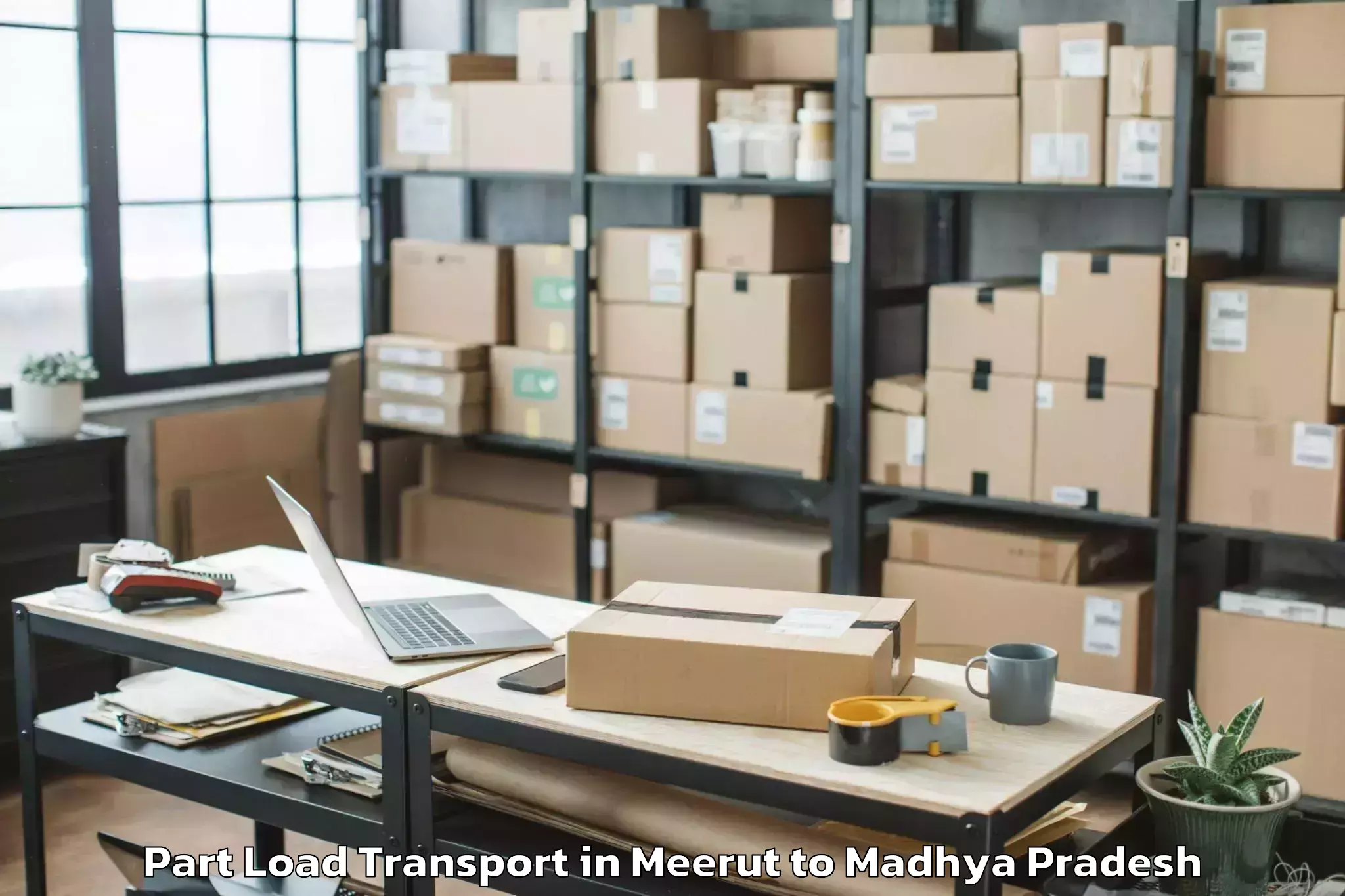 Professional Meerut to Mahidpur Part Load Transport